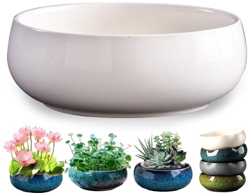 Fioriera idroponica per interni, vaso di fiori di loto in ceramica per piante grasse, ciotola per piantare acqua per la decorazione della casa, perfetta per il giardinaggio in ambienti interni