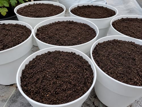 50 L Sustrato Universal orgánico Huerto Urbano. Una Mezcla turba Rubia y Negra, una Gran cantidad de Fibra de Coco y Perlita, lo Mejor para Sus Plantas en macetas y jardín.