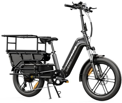 HOVSCO Lastenrad E Bike für Damen Herren 20x3.0 Fat Tire | Lastenfahrrad E-Bike, 48V 15AH Akku, 250W Motor, bis 204kg, 55KM Reichweite, 7 Gängen, App-Steuerung & Federung