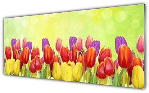 Tulup Acrylic Glass Print 125x50cm Wall Art - Wall Picture Plastic Acrylic Glass - Tulips Floral
