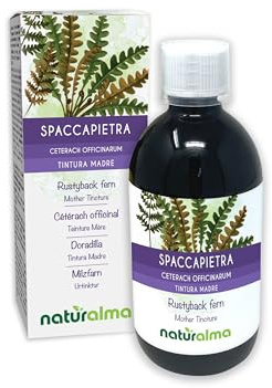 Spaccapietra o cedracca (Ceterach officinarum o Asplenium ceterach) foglie Tintura Madre analcoolica Naturalma - Estratto liquido gocce 500 ml - Integratore alimentare - Vegano