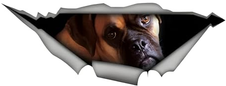Autoaufkleber Boxer Hund Aufkleber 15cm(5.9 Inch) Boxer Hund Personalisieren Reflektierende Aufkleber 3D Zerrissen Aufkleber Haustier Hund Lustig Autoaufkleber Boxer Dog Car Sticker Lustig Dekor