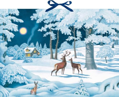 Wand-Adventskalender – Wintertiere bei Nacht: Mit Infotexten zu den Tieren: 24 Tiermotive mit kurzen Infos