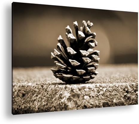 deyoli Leinwandbild Kleine Tannenzapfen schmücken den Waldboden Format: 70x50cm Effekt:Sepia XXL Kunstdruck Bild auf Holzrahmen/Wandbild/Wohnzimmer Dekoration