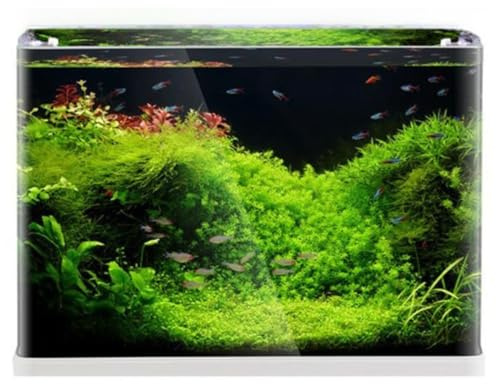 Aquariumline acquario aperto in vetro extrachiaro panoramico 55L cm60x30x33,5h