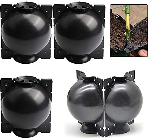 Ianulus Boîte de Greffage de Plantes, 4 Pièces Plante Enracinement Dispositif, Boîte à Haute Pression D'usine, Boule de Coupe de Propagation pour Jardin Croissance Elevage Greffe (Noir)