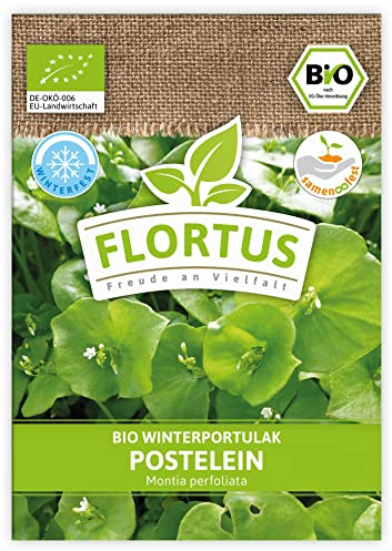 FLORTUS – BIO Winterportulak Postelein Samen – Gemüsesamen zur Anzucht für Garten, Balkon, Küche & Fensterbank – Wintergemüse mit höchster Bioqualität & ohne Gentechnik (800 Korn)
