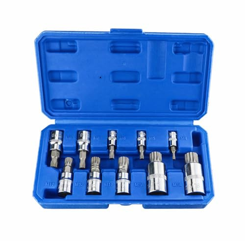 Vielzahn Nuss Satz 10tlg, 1/4, 3/8, 1/2 Steckschlüssel Satz Innenvielzahn Bit Satz M4 - M18, XZN Innen Vielzahn Nüsse Stecknüsse Satz, aus Chrom-Vanadium Stahl und S2 Stahl
