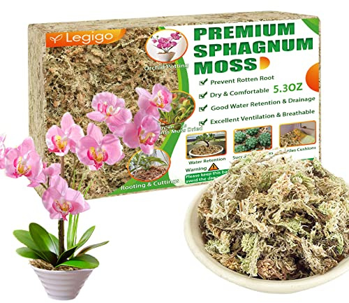 Legigo 150g Premium Sphagnum Moos- 100% Natürlich Moos für Pflanzen | Speichert Wasser Moss für Orchideen, Sukkulenten, Fleischfressende Pflanzen, Stecklinge, Terrarien & Reptilien