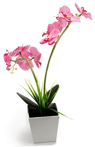 Garneck Beleuchtete Künstliche Orchideen Led-licht Für Heimdekoration Romantische Nachtlichter Für Schlafzimmer Hochzeiten Und Weihnachten