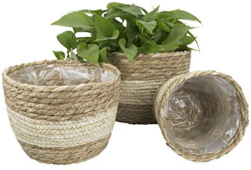 La Jolíe Muse Cesta de Planta, Jardineras Exterior, Maceta Interior, Macetas de Flores Naturales de Pasto Marino, Beige, 26cm
