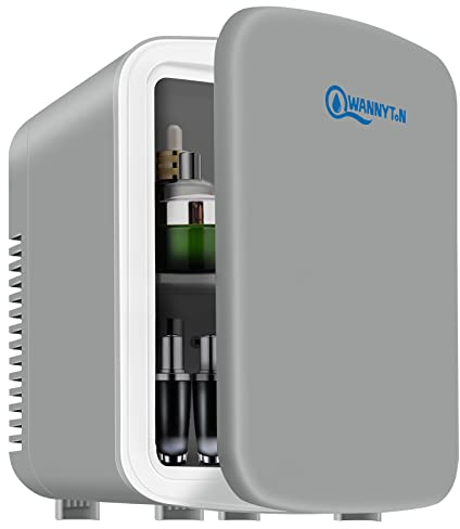 WANNYTON 4L Mini Frigo, Petit Réfrigérateur Portable, Réfrigérateur Cosmétique, Frigo Mignon, Fonction Froid/Chaud pour Bureau, Chambre, Voiture, Voyage, 220V/12V, Gris, 24,5x18,5x27cm