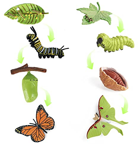 SIENON 4 Stück Schmetterling Lebenszyklus Spielzeugfiguren und 4 Stück Motte Figur aus Kunststoff Raupe zu Schmetterling Wachstumszyklus Spielzeug Insektenfiguren Lehrmittel Schule Projekt für Kinder