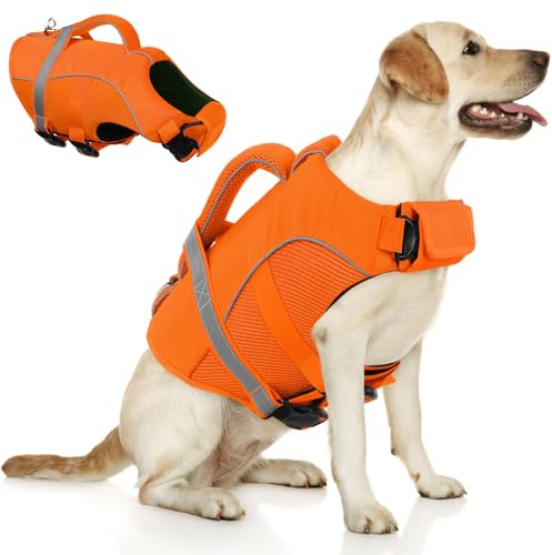 Queenmore Dog Life Vest for Swimming Boating, Adjustable Ripstop Dog Life Jacket, Doggy Lifesaver with Superior Buoyancy and Rescue Handle, Pet Swimming Vest for Medium Dogs(Orange, M)