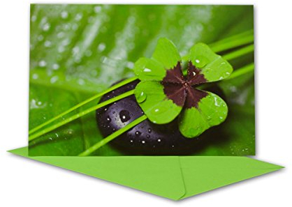 Glückwunschkarte 10 Set mit Umschlägen Grün - Dankeskarte Motiv Kleeblatt mit Wassertropfen und Stein - Klapp-Karte DIN B6 17,0 x 11,5 cm - Grußkarte für Geburtstag Hochzeit Geburt Taufe Kommunion