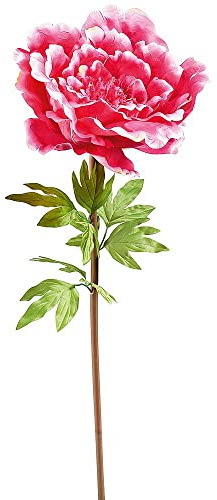 Deco Woerner Künstliche Pfingstrose riesige Deko-Pfingstrose Kunstblume Deko-Einzelblume Pink 128 cm