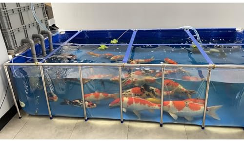 Großes Aquarium für den Außenbereich, Teich, mit transparentem Sichtfeld, PVC-Segeltuch und Stahlrahmen, Zuchtbecken mit Ablaufventil (199,9 x 100,1 x 71,1 cm)