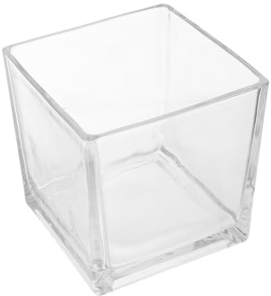 ULDIGI Vaso Idroponico in Vetro Cubico Trasparente, Vaso per Fiori Quadrato Moderno per Tavolo e Soggiorno, Decorazione Raffinata e Durevole