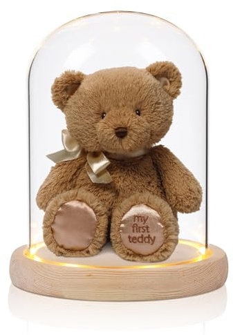 LEKEFETO Cloche en verre avec fond en bois, 16 cm de haut, couvercle décoratif en verre avec lampe, cloche en verre transparent, décoration de dôme en verre, pour la Saint-Valentin, rose éternelle