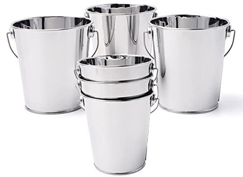 Verve Jelly Mini Serving Buckets 6Pack Chip Fry Pots Stainless Steel Icing Bucket Food Presentation Basket Small Metal Storage Pails for French Fries Chips Onion Rings Ice