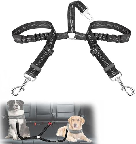 VBGURR Ceintures de sécurité pour Chien pour Voiture, Double Ceinture de sécurité pour Chien, Ceinture de sécurité élastique réglable pour Voyage, Usage Quotidien