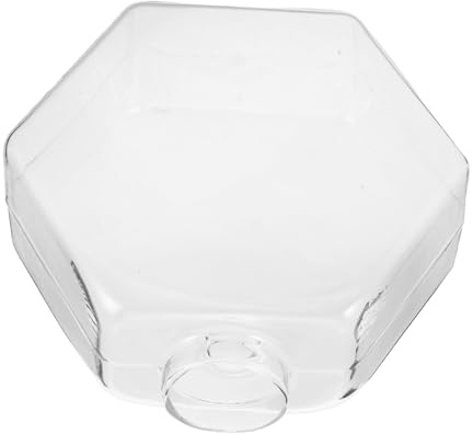 BESPORTBLE Wall Planters for Indoor Plants Transparent Glass Hanging Vase for Hydroponic Growth Space Saving Wall Decor for Home Office Stylish Hexagonal Design