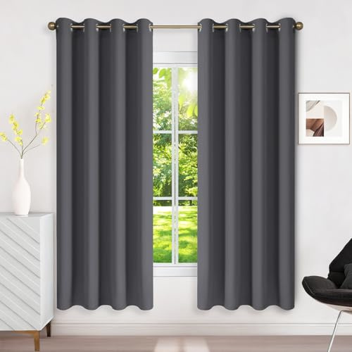 Runyéla Verdunklungsvorhänge mit Ösen Gardinen 2er Set, Thermovorhang Hitzeschutz H 175 x B 140, Vorhänge Blickdicht Dunkelgrau, Ösenvorhang für Schlafzimmer Wohnzimmer Blackout Curtain