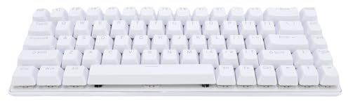 Goshyda Tastiera da Gioco Meccanica Cablata, 60% di Tastie di Retroilluminazione RGB con Switch Blu, Anti -ghosting, per Laptop per PC per Vittorie per OS X per Android (White)