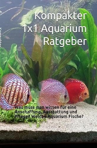 Kompakter 1x1 Aquarium Ratgeber: Was muss man wissen für eine Anschaffung, Ausstattung und Pflege? Welche Aquarium Fische?