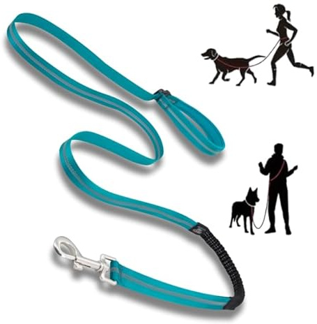 Lalazoo Adventure Joggingleine Hund mit Stoßdämpfer – Freihandleine 180 cm Verstellbar Reflektierend Gepolstert Robust Wasserdicht – Für Kleine Mittelgroße Große Hunde – Joggen Wandern – Türkis, M