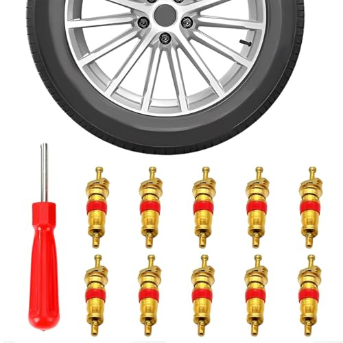 Ventileinsatz Entferner mit 10 Ventileinsätzen für Auto Fahrrad Auto LKW Ersatzreifen Reifenventil Reparaturwerkzeug, Ventilkernwerkzeug, Ventilkern-Entferner, für Auto, Motorrad, Fahrrad