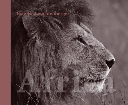 Africa: Sinneseindrücke in Bildern