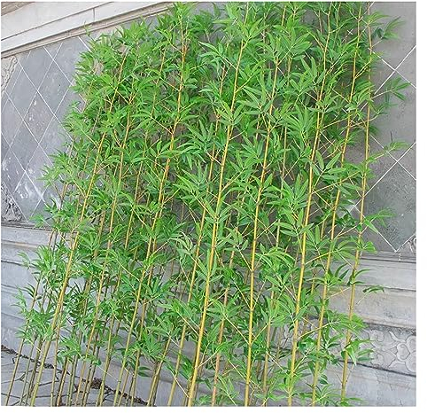 Kunstpflanze Kunstbaum Terrassen-Simulationsbambus DIY Künstliche Bambuspflanze Dekor Raumtrenner Kunstbaum, Raumteiler Realistischer Bambus Mit Blättern Und Natürlichem Stamm ( Color : 90 Pole , Size