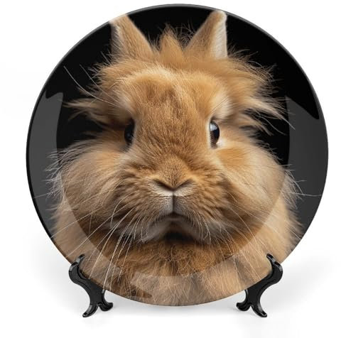 QWJKM Bone China Decorative Plates with Display Brown Dwarf Rabbit Salad Plates Porcelain Dessert Plates Serving Dishes Art Decor Ornament for Living Room Table Kitchen 8.1 Inch