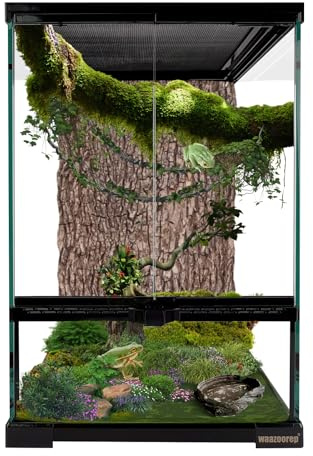 waazoorep 11 Gallon Reptile Glass Tank Vertical Terrarium 12x12x18 Habitat Enclosure with Front Openning Door and Top Screen Ventilation for Geckos, Snakes,Tree Frogs,Chameleon