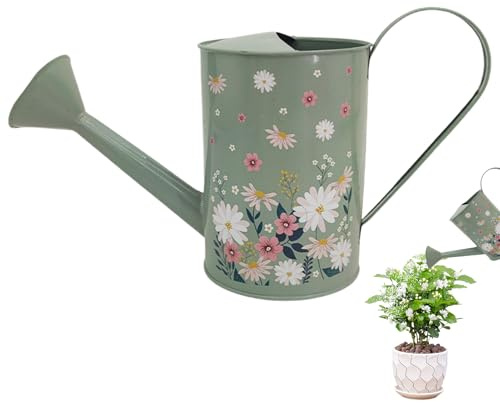 Spruzzatore per piante da interno, lattina da giardino antica, mini contenitore d'acqua con metallo robusto, accessorio decorativo per irrigazione con design ergonomico, strumento per giardinaggio