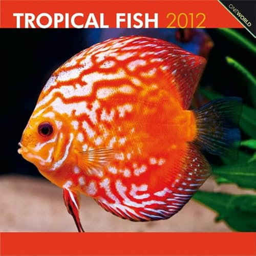 Tropical Fish 2012 (Wall-Kalender)