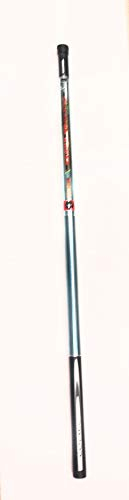 COLMIC HOLGUIN 20GR 7MT BLG SERIES BOLOGNESE