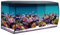 Fluval Flex Marine Aquarium 123L, Meerwasser Aquarium, schwarz, 1 Stück
