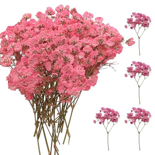 SURALIN Confezione da 50 Gypsophila Rosa Essiccata, Fiori Secchi Decorativi Naturali Fiori Secchi Decorativi Piccoli Creazione di Biglietti di Nozze
