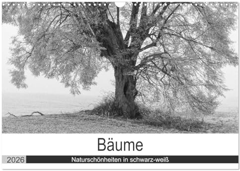 Bäume - Naturschönheiten in schwarz-weiß (Wandkalender 2026 DIN A3 quer), CALVENDO Monatskalender: Ausdrucksstarke Bäume als schwarz-weiß Fotografie (CALVENDO Natur)
