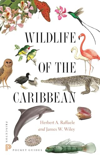 Wildlife of the Caribbean (Princeton Pocket Guides)