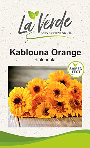Calendula Kablouna Blumensamen Orange