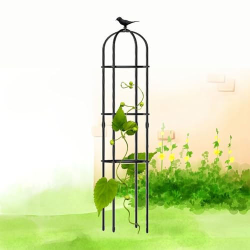 Treillis obélisque de Jardin pour Plantes grimpantes - Cage de Support en métal, 120 cm/150 cm/160 cm/180 cm/190 cm, Design Rond pour Plantes en Pot, Finition Noire Durable, idéal pour la dé