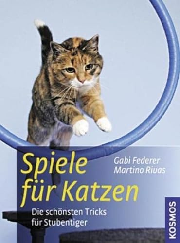 Spiele für Katzen: Die schönsten Tricks für Stubentiger