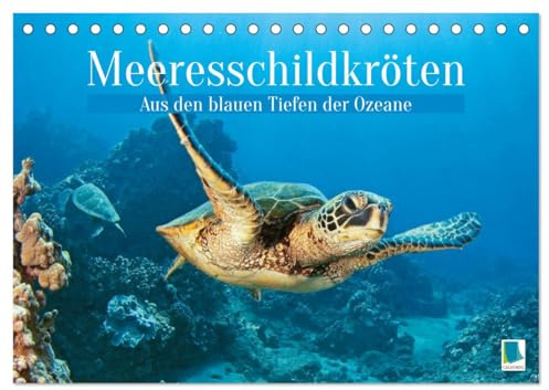 Meeresschildkröten: Aus den blauen Tiefen der Ozeane (Tischkalender 2026 DIN A5 quer), CALVENDO Monatskalender: Meeresschildkröten: Freiheit in den Tiefen der Meere (CALVENDO Tiere)