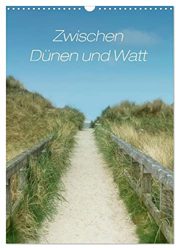 Zwischen Dünen und Watt/Geburtstagskalender (Wandkalender 2026 DIN A3 hoch), CALVENDO Monatskalender