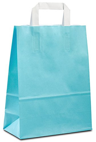 Papiertüten hellblau mit Flach-Henkel I 500 Stk. 22+10x28cm I Papiertragetasche für Einzelhandel, Weihnachten, Mitbringsel, TO-GO I Geschenktüten aus Kraftpapier I HUTNER
