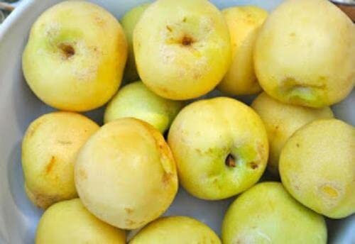 Pianta ffffsdffdi PESCO NOCE BIANCO (SBERGIO BIANCO) polpa succosa, profumata