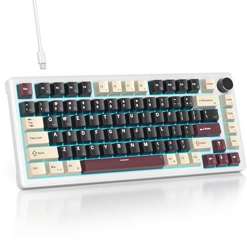 SOLIDEE Verkabelte Mechanische Gaming Tastatur 75 Prozent, Hot-Swap-Fähig Mit Gasket Struktur, RGB Hintergrundbeleuchtung, 82 Tasten TKL Mit Drehknopf (82 Roman)